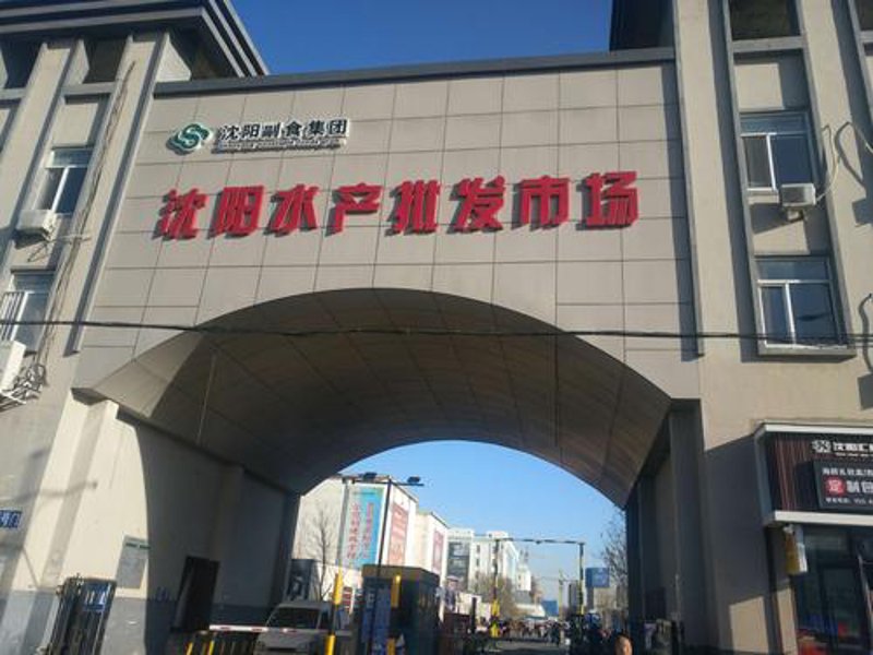 辽宁沈阳批发